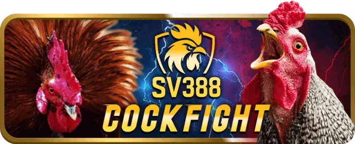 Đá gà trực tiếp Jun88v8 Code